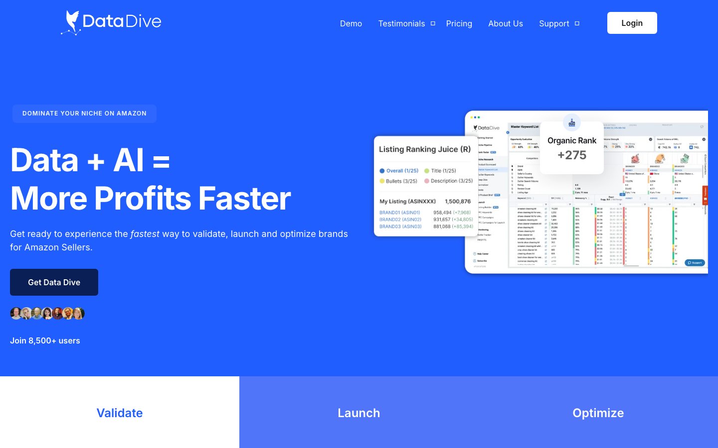 DataDive official product page or product image