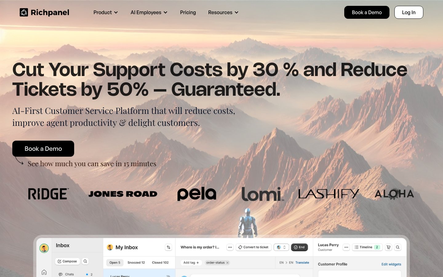Richpanel official product page or product image